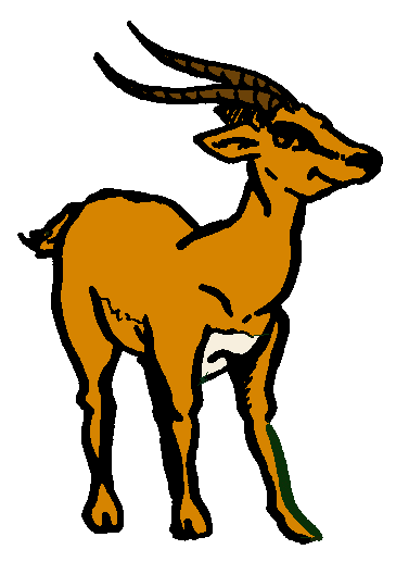 Gazelle.bmp